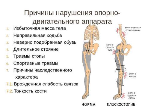 Заболевания позвоночника и опорно-двигательной системы