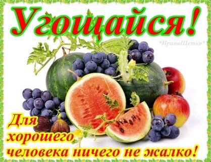 Заполнение конга вкусными угощениями для максимальной заинтересованности