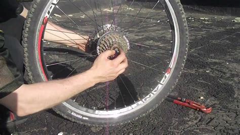 Защита колеса велосипеда при удалении яйца: способы предотвратить повреждение