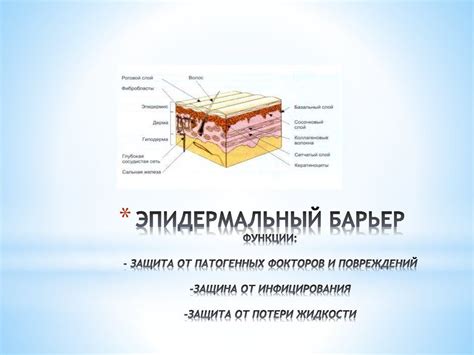 Защита тростникового поля от повреждений и уронов