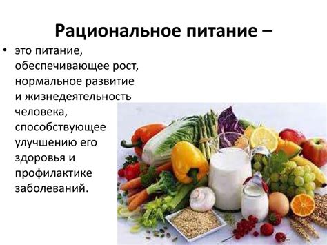 Здоровое питание: отбор продуктов для здоровья питомца Василиска