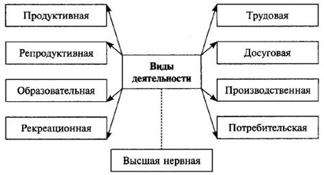 Знакомство с жителями города: сферы деятельности и характеристики