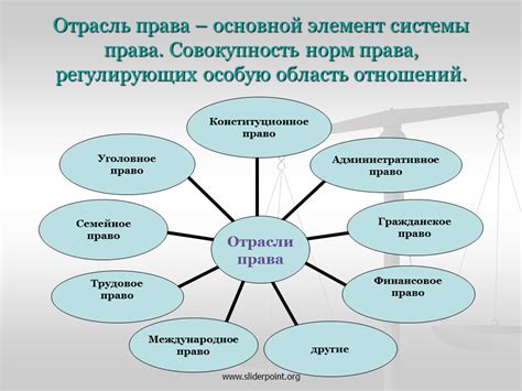 Знание своих прав и норм права - важный аспект при обвинении в краже