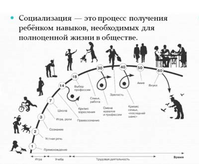 Значение Гочс для общества