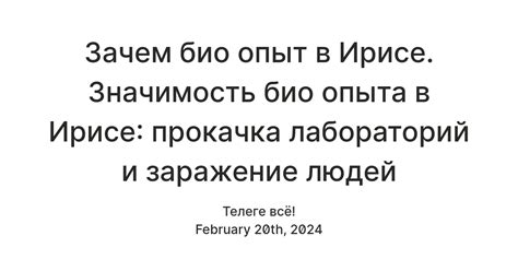 Значение выбора и установки темы в ирисе