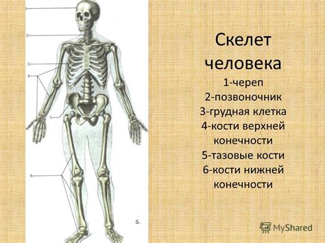 Значение года 1984: какое значение он имеет?