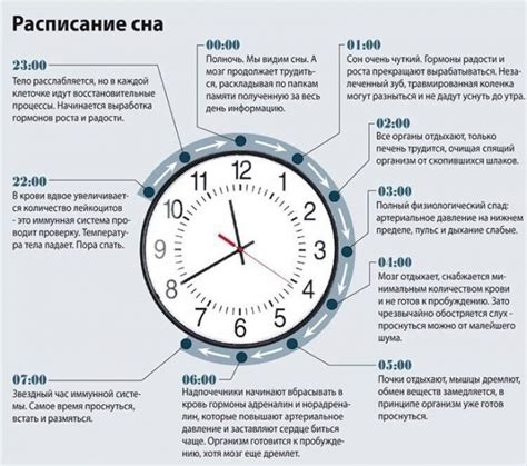 Значение достаточного сна для поддержания сильного здоровья