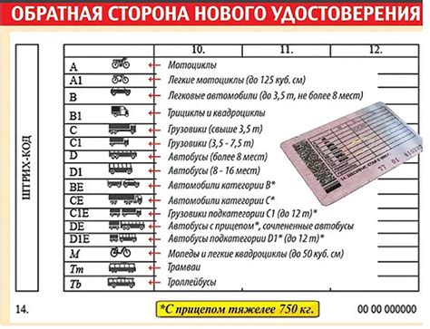 Значение и толкование отметки as в категории в1