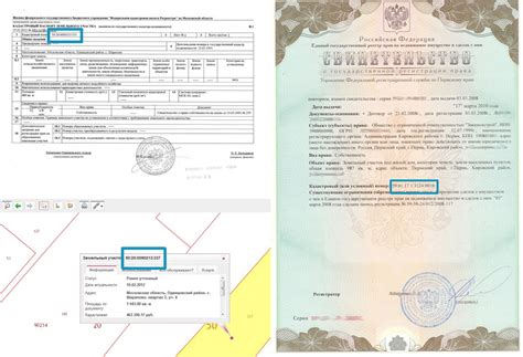 Значение кадастрового номера в цифровом учете земельных ресурсов