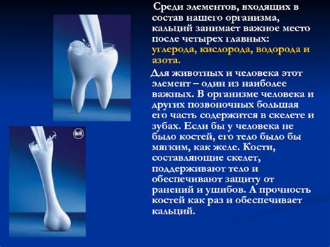 Значение кальция для организма: важность и роль в процессах жизнедеятельности