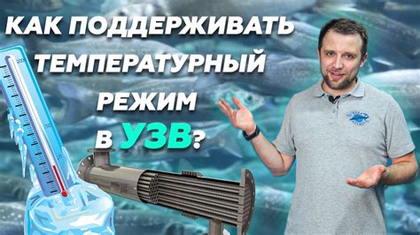 Значение поддержания комфортной температуры воды для ребенка