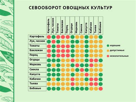 Значение правильного выбора питательных веществ для успешного сбора плодов