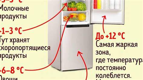 Значение установки правильной температуры в холодильнике от компании Хайер