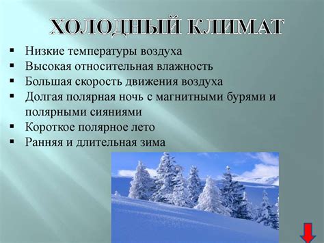 Значение холодного климата для организма: воздействие и эффекты