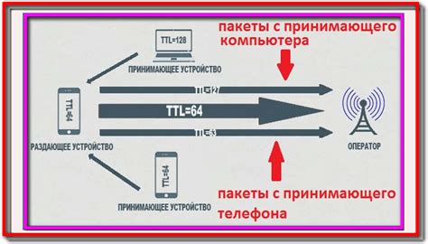 Значение TTL и его влияние на функционирование сети