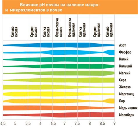 Значимость определения уровня кислотности почвы в садоводстве