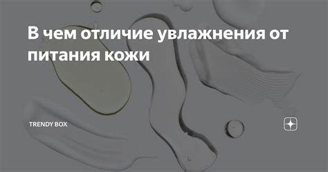 Значимость увлажнения и питания кожи