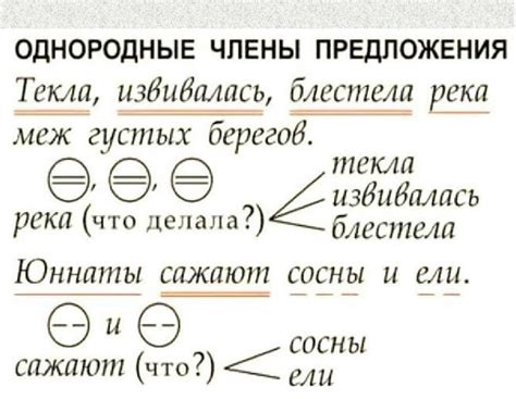 Идеальное слово для удачного предложения: как правильно выбрать?