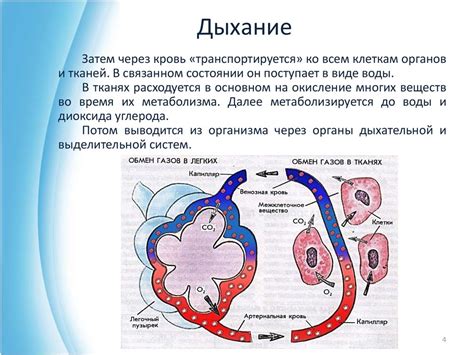 Изменение содержания кислорода насыщенностью в организме человека