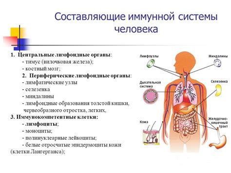 Изменения в работе иммунной системы