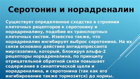 Изменения уровней серотонина и норадреналина