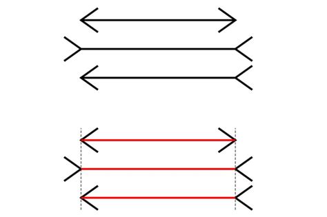 Иллюзия визуального восприятия: эффект Мюллера-Лайера