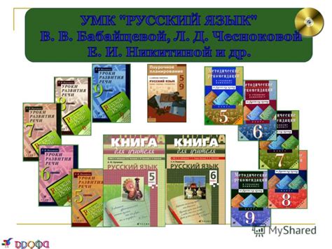 Иммерсивные подходы к изучению русского языка: преимущества взаимодействия и общения с носителями языка