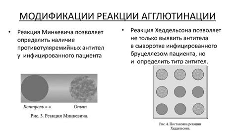 Иммунологические подходы и их роль в изучении кровных групп