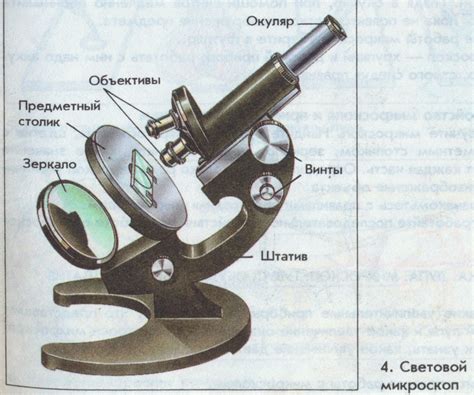 Инновационные возможности и перспективы использования зеркала в световом микроскопе