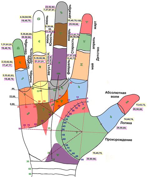 Интерпретация глубоких линий на ладони