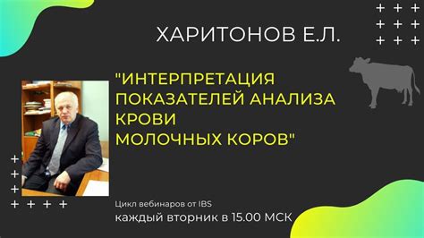 Интерпретация сновидений о гонении коров