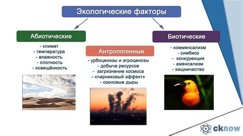 Инфраструктура поселения в Севастополе: основные элементы среды обитания