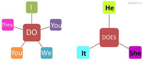 Использование "do" и "does" в английском языке