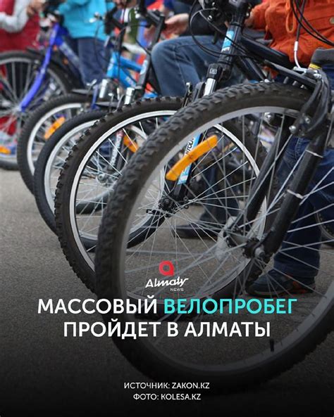 Использование велосипедов во время осмотра Северной столицы