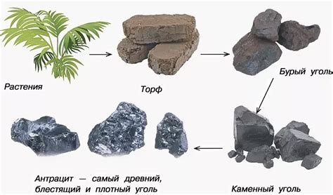 Использование каменных углей и альтернативная техника без использования фольги