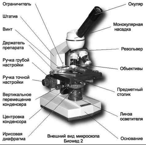 Использование лупы или микроскопа: подробное рассмотрение золота