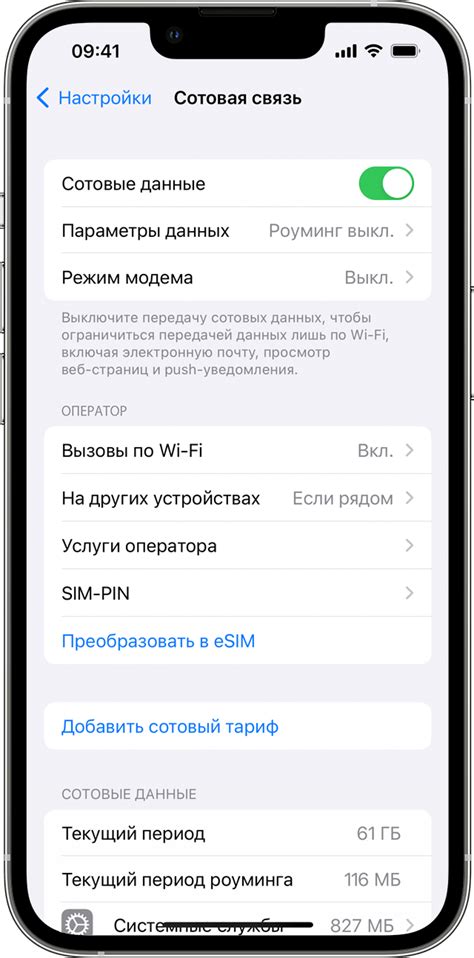 Использование мобильных данных на iPhone 13 Pro