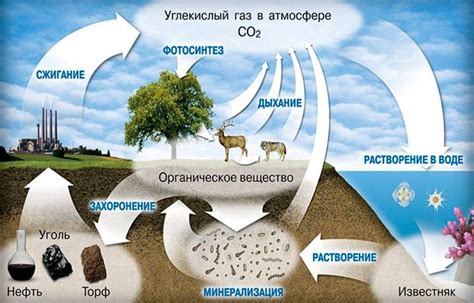 Использование сублимированного углекислого газа для обеспечения низких температурных режимов