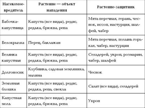 Использование трав и растений для активации выведения избыточной жидкости из организма