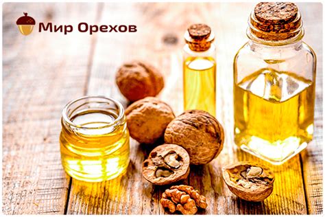 Используйте масло ореха Грецкого в кулинарии