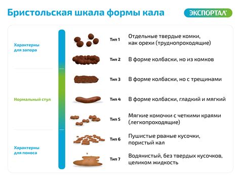 Источники и виды микроорганизмов, которые могут быть найдены в образцах кала у взрослых