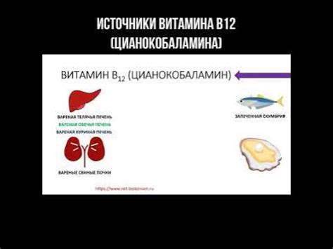 Источники цианокобаламина и рекомендуемая дневная норма