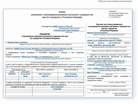 Какие документы необходимы для подтверждения наличия ДНД?