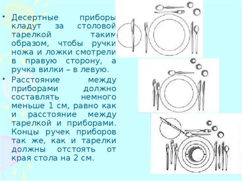 Как выбрать и ухаживать за глубокой столовой тарелкой