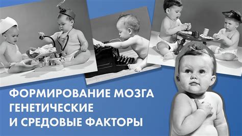 Как генетические факторы влияют на формирование структуры мозга и возникновение патологий