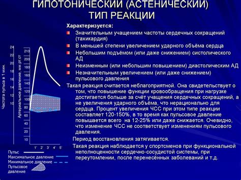 Как микроцитоз влияет на работу сердечно-сосудистой системы?