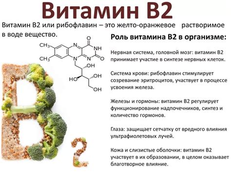 Как обеспечить прием достаточного количества витамина В2?