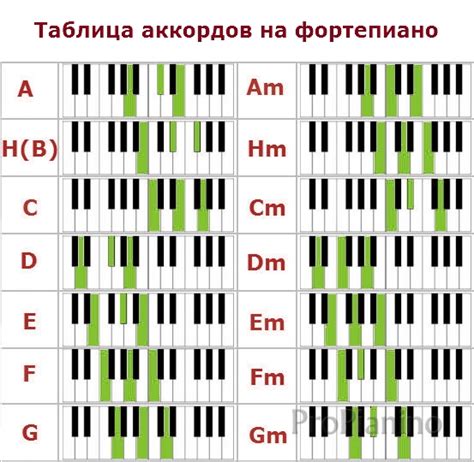 Как построить идеальную последовательность нот на фортепиано: пошаговое руководство от соль до до