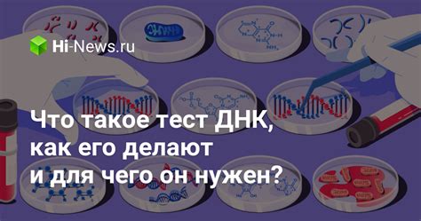 Как применить знания о основном генетическом состоянии в повседневной жизни