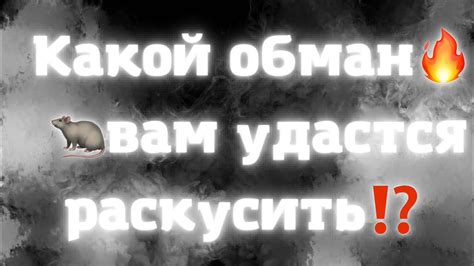 Как раскусить обман: 5 признаков, на которые стоит обратить внимание